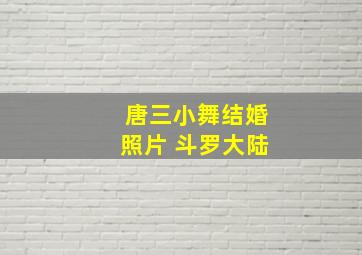 唐三小舞结婚照片 斗罗大陆